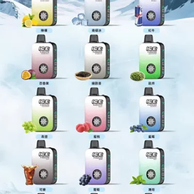 ICE FREEZE 10000口一次性電子煙